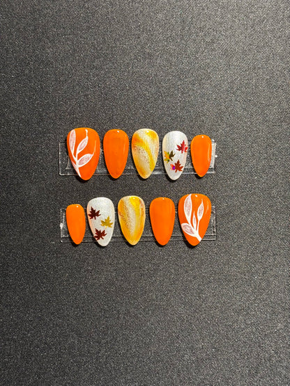 Harvest Glow