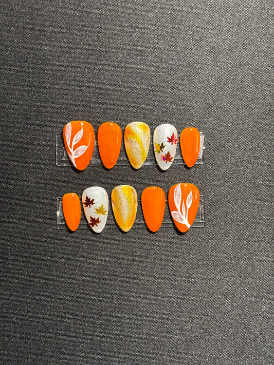 Harvest Glow